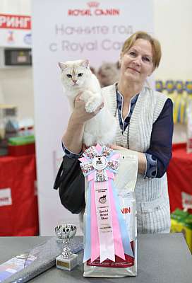 �������� ����� 11-12 ������ 2015, ������������ ���  bri-169A5111 copy.jpg